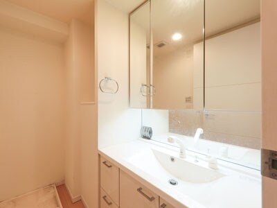 物件内観写真13　(洗面・同タイプ参照)