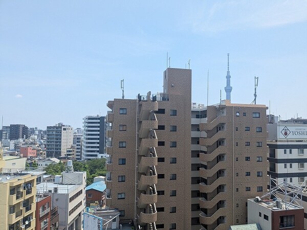 眺望(10F、バルコニーからスカイツリー隅田川花火見えます)