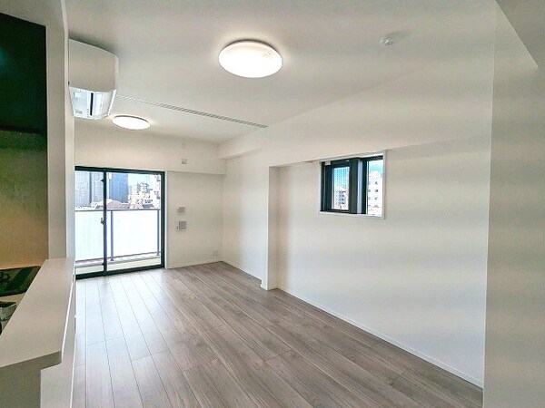 内装他(リビングと4.5帖洋室、リビングにエアコン・照明・収納付き、)