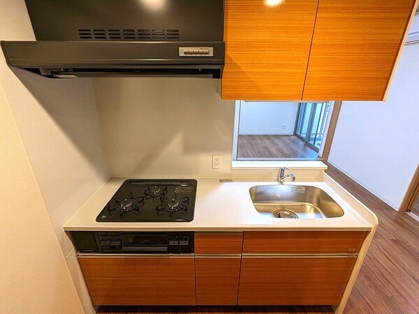 建物設備(広々野シンクと豊富な収納です)