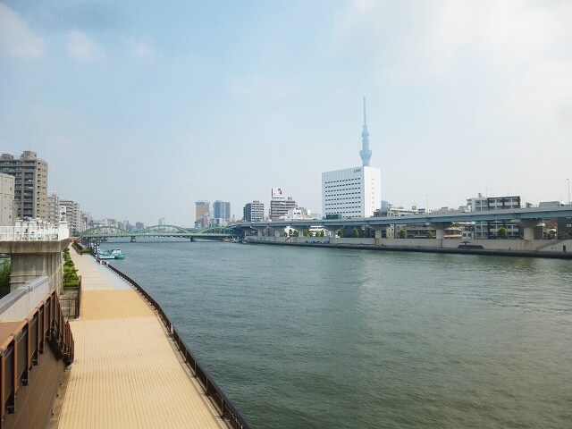 物件内観写真33　(蔵前橋　隅田川 1259m)