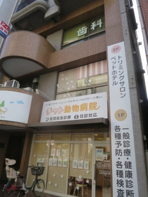周辺環境(チャト動物病院 342m)