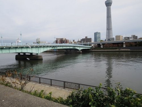 周辺環境(言問橋 617m)