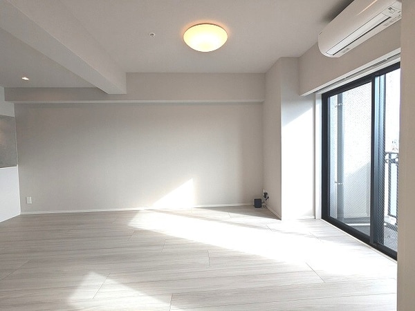 建物設備(リビング、南向き、エアコン照明付き)