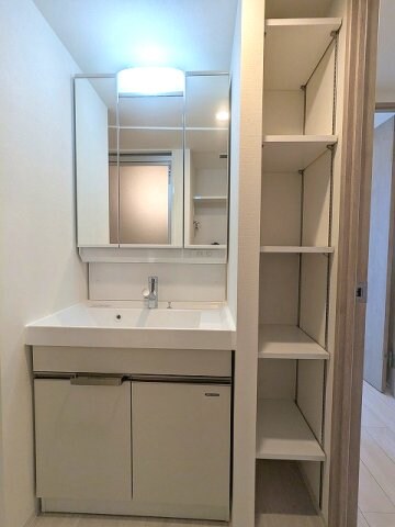 物件内観写真11　(トイレと独立した脱衣洗面室、三面鏡付ハンドシャワー付洗面台、)