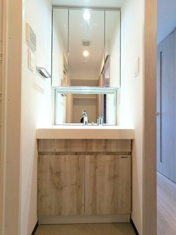 物件内観写真9　(三面鏡付、ハンドシャワー付独立洗面台です)