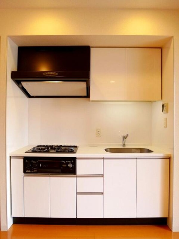 キッチン(広々のシンクに豊富な収納棚です)