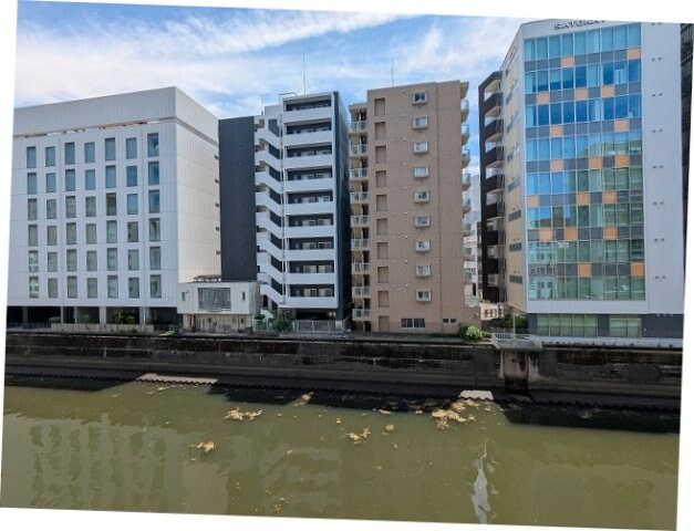 物件内観写真11　(4F、南向き眺望良好です、リバーサイド)