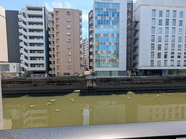 物件内観写真29　(3F、南向き眺望良好です)