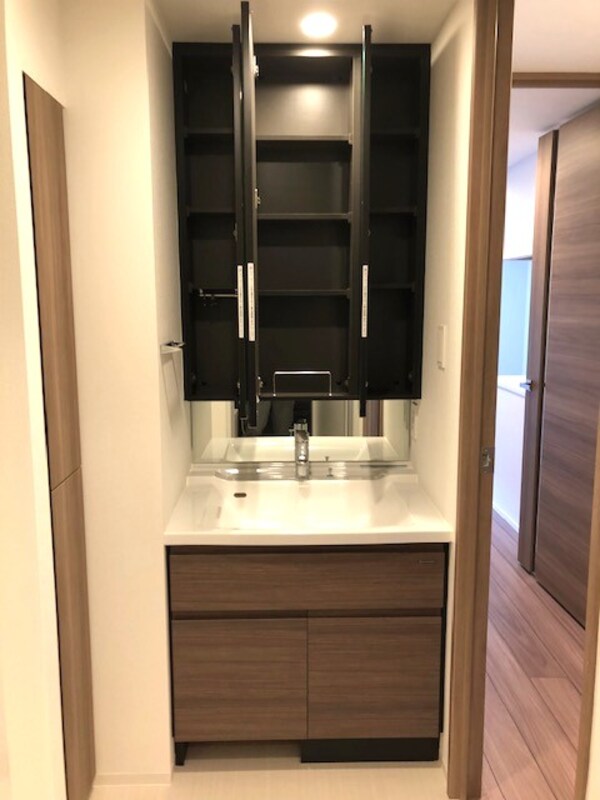 建物設備(三面鏡付きの洗面台です。収納も豊富です)