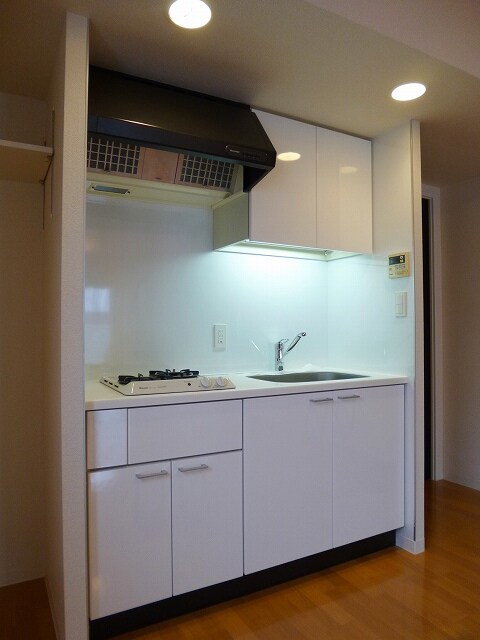 物件内観写真6　(パークアクシス秋葉原のガス２口システムキッチンです)