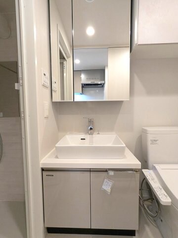 物件内観写真9　(2面鏡付ハンドシャワー付独立洗面台です)