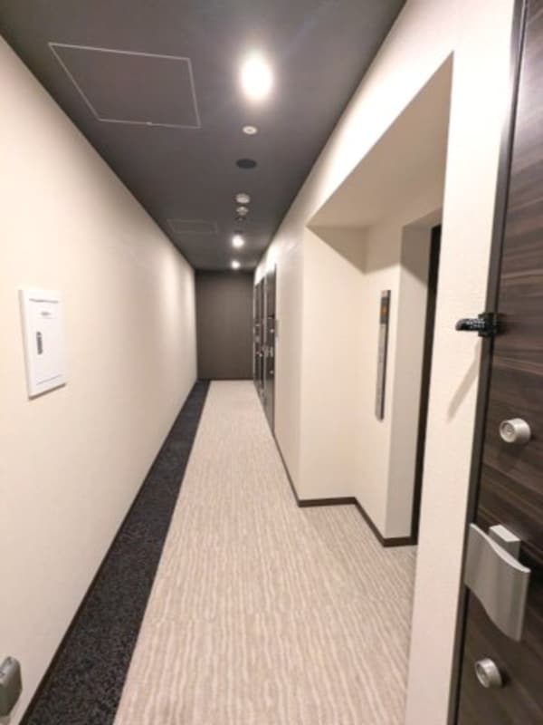 建物設備(清潔で足音静かで滑りにくい絨毯張りの内廊下です、外からも見ら)
