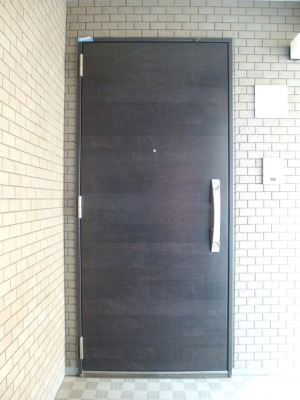 建物設備(ハイリーフ上野の玄関です、ダブルロックセキュリティです)