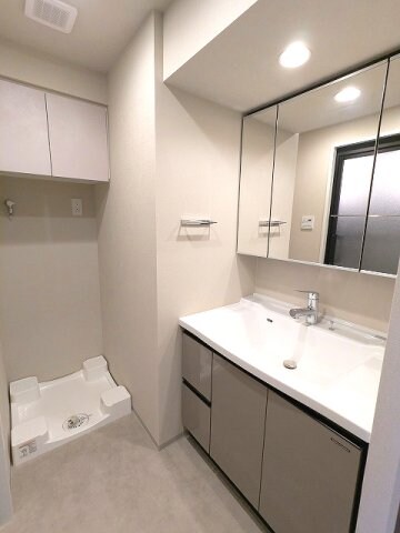 物件内観写真10　(三面鏡付ハンドシャワー付独立洗面台です、排水口のお手入れし易)