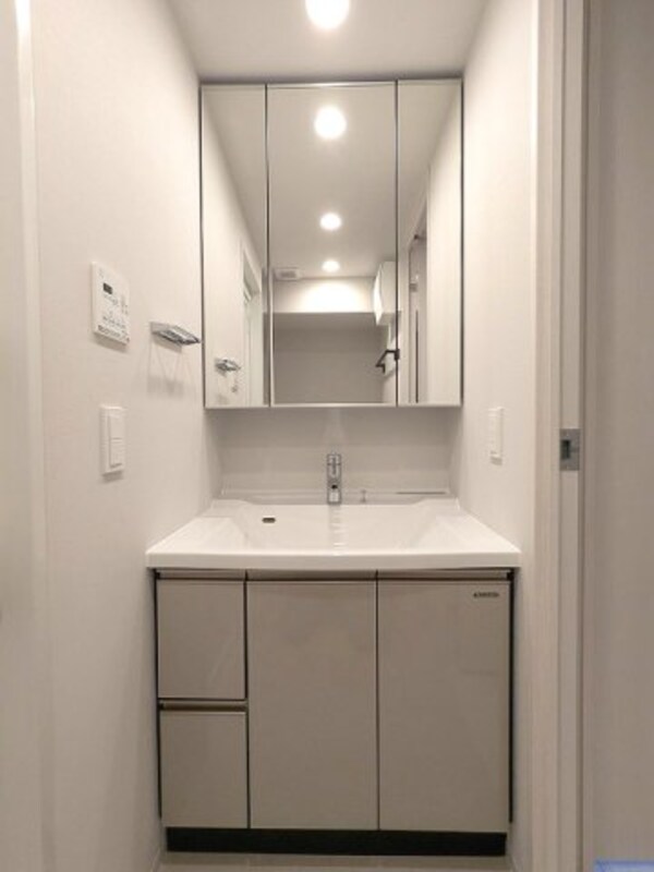 洗面・脱衣所(三面鏡付ハンドシャワー付独立洗面台です)