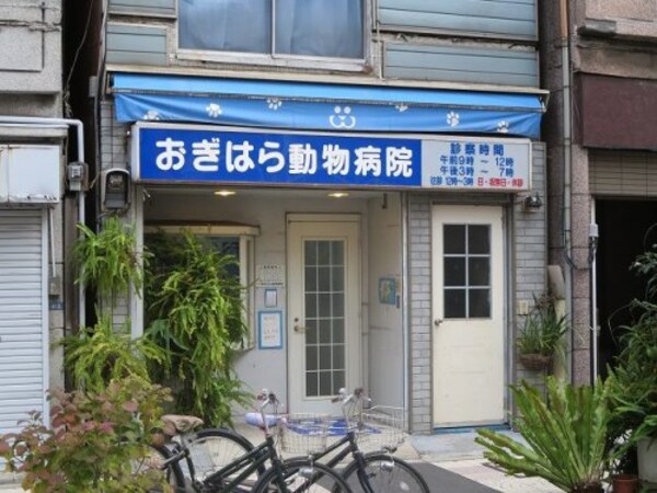 周辺環境(おぎはら動物病院 557m)