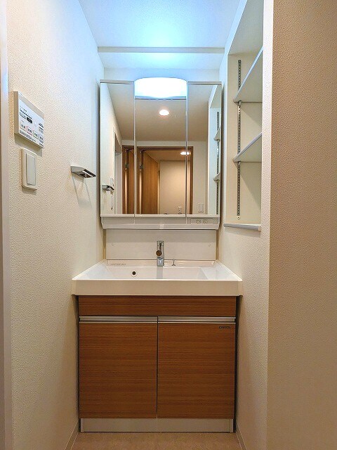 物件内観写真19　(三面鏡付きハンドシャワー付き独立洗面台です)