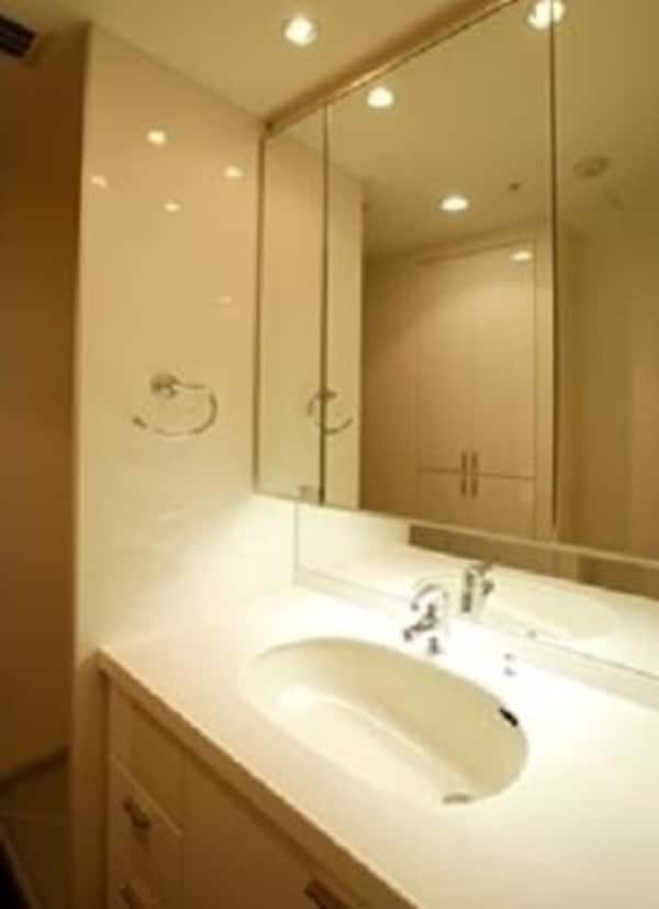 その他(洗面・同タイプ参照)