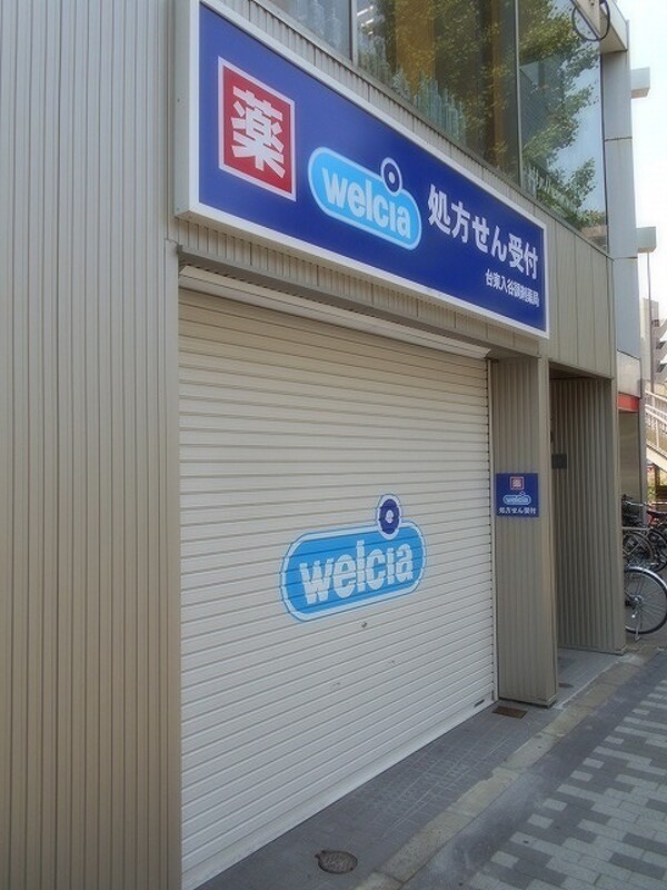 周辺環境(ウエルシア台東入谷 429m)