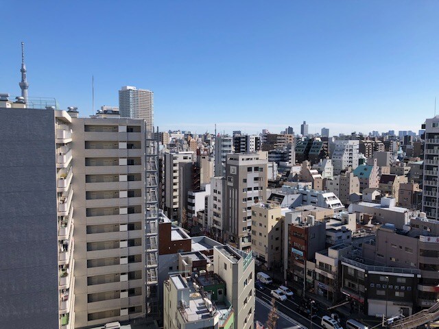 物件内観写真9　(上層階からはスカイツリーと隅田川花火の2会場ともバルコニーか)