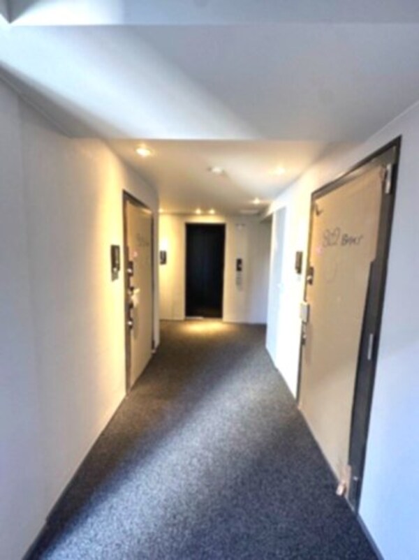 建物設備(ホテルライクな絨毯張りの内廊下設計です、足音を吸収し、雨に濡)