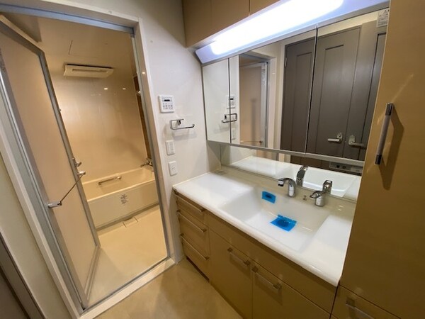 その他(背ねmン)