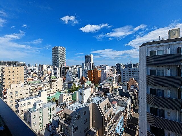 物件内観写真11　(12Fの眺望、上層階は隅田川花火見えます)