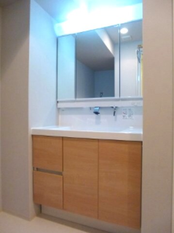 物件内観写真9　(ハンドシャワー付独立洗面台です)