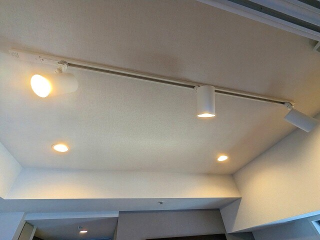物件内観写真24　(室内の照明はダウンライトとスポットライト付きです)