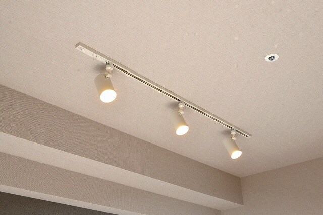 物件内観写真25　(室内の照明はダウンライトとスポットライト付きです)