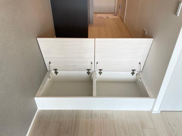 収納(レジディア上野御徒町の階段下収納です)