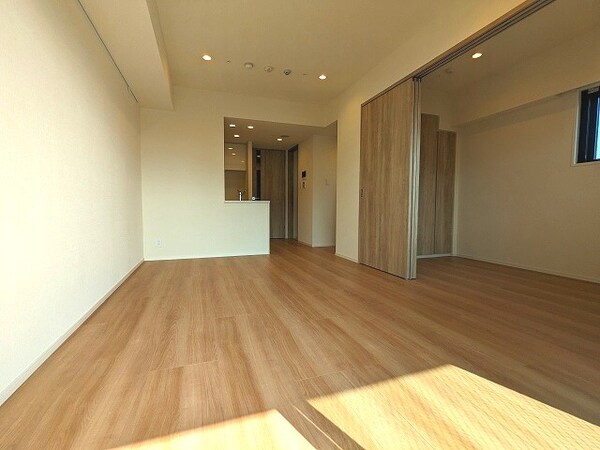 居室(リビングと洋室はダウンライトでやわらかい室内空間です)
