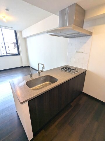 物件内観写真5　(ガス2口カウンターキッチン、浄水器)