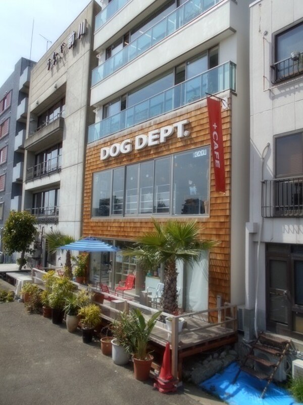 周辺環境(DOG　DEPT＋CAFE浅草隅田川テラス店 337m)
