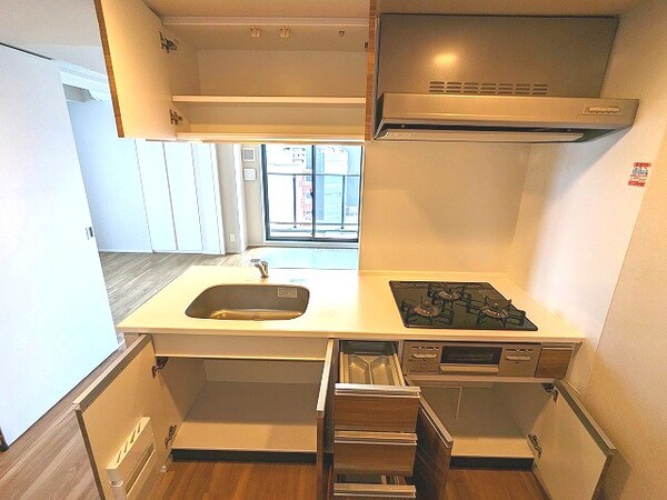 建物設備(収納豊富なキッチンです)