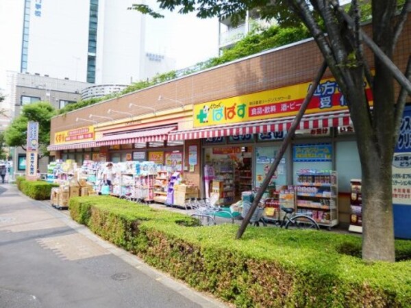 周辺環境(どらっぐぱぱすリーデンスタワー店 534m)