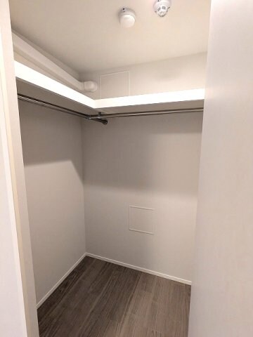 物件内観写真9　(5帖洋室のウォークインクローゼット付です)