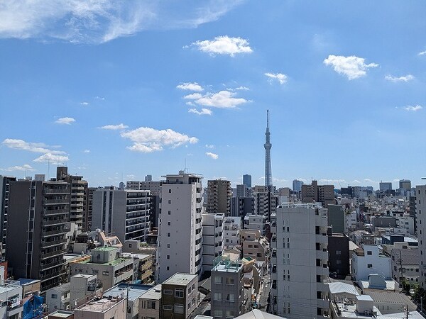 眺望(10F、共用廊下からスカイツリー隅田川花火見えます)