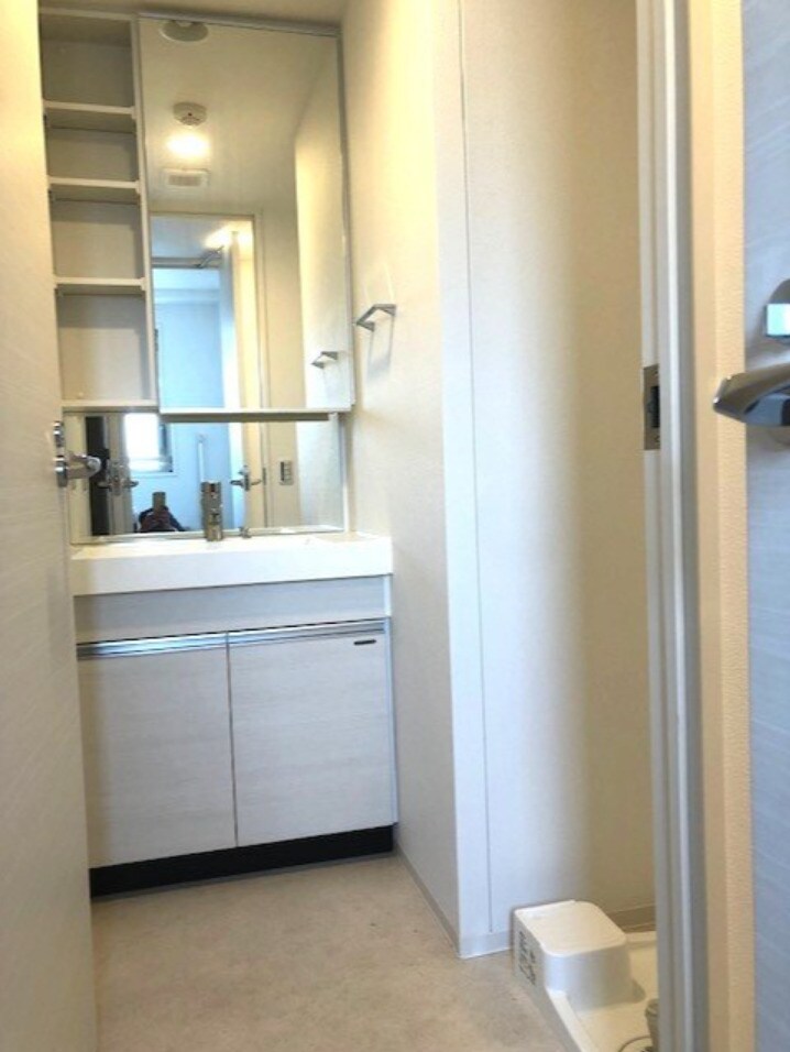 物件内観写真11　(ハンドシャワー付き独立洗面台)