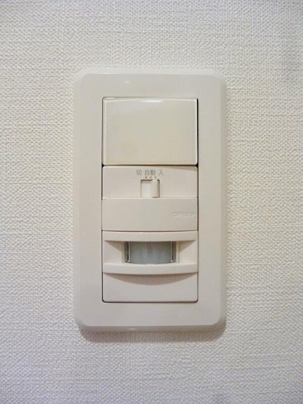 建物設備(ルジェンテ・バリュ上野の人感センサー付玄関ライトです)