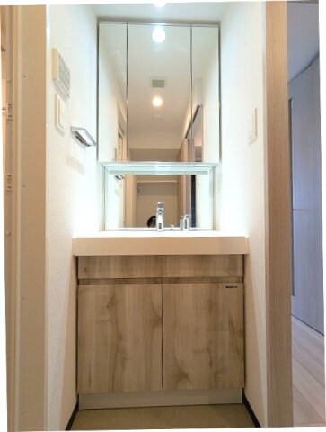 物件内観写真9　(三面鏡付、ハンドシャワー付独立洗面台です)