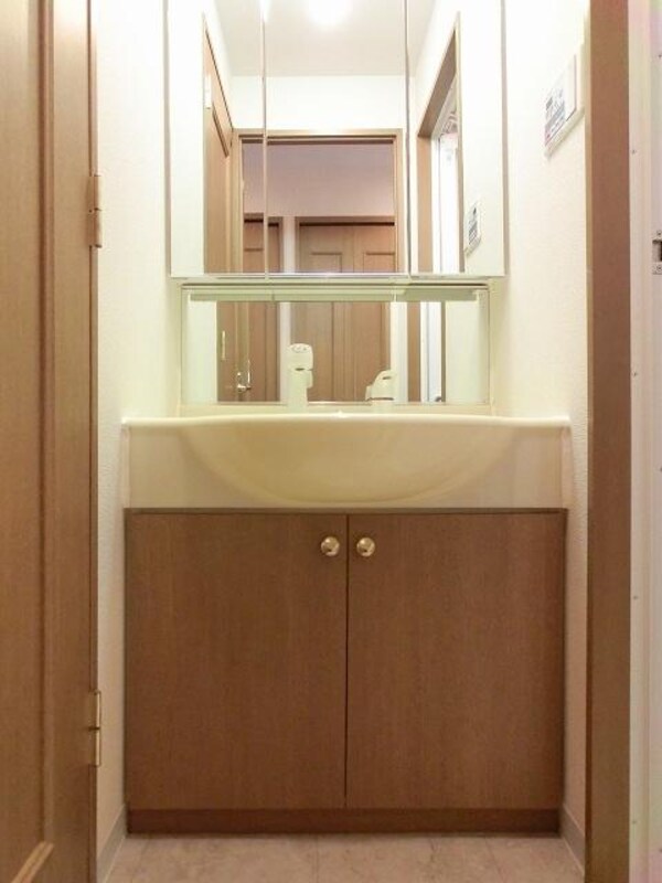 洗面・脱衣所(レジディア上野池之端の三面鏡とハンドシャワー付独立洗面室です)
