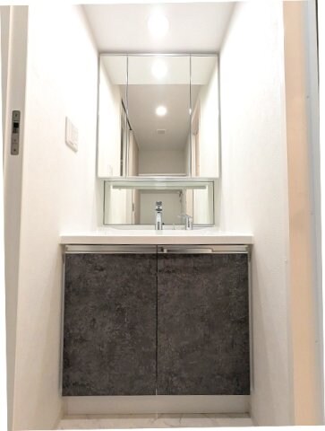 物件内観写真9　(トイレと独立した脱衣洗面室、三面鏡・ハンドシャワー付洗面台、)