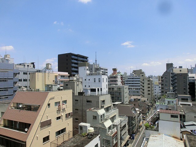 物件内観写真8　(日当たり眺望良好、スカイツリーと隅田川花火見えます)