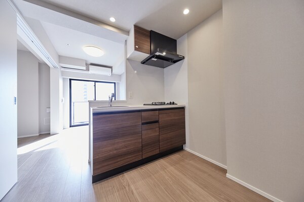 建物設備(南向き、リビングにエアコン・照明付、カウンターキッチン)