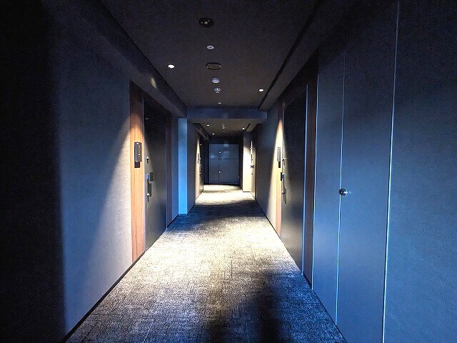 物件内観写真22　(雨に濡れず遮音効果もある瀟洒な絨毯張りの内廊下です)