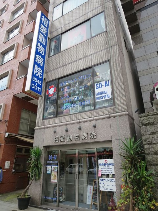 周辺環境(相愛動物病院 455m)