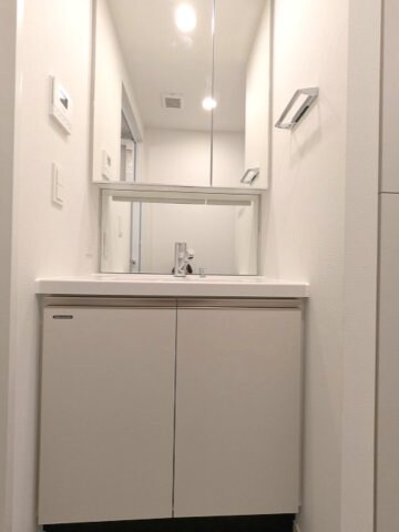物件内観写真8　(トイレと独立した2面鏡付ハンドシャワー付洗面台です)