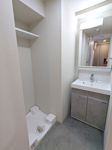 物件内観写真11　(2面鏡・ハンドシャワー付独立洗面台、洗濯機置場は排水口お手入)